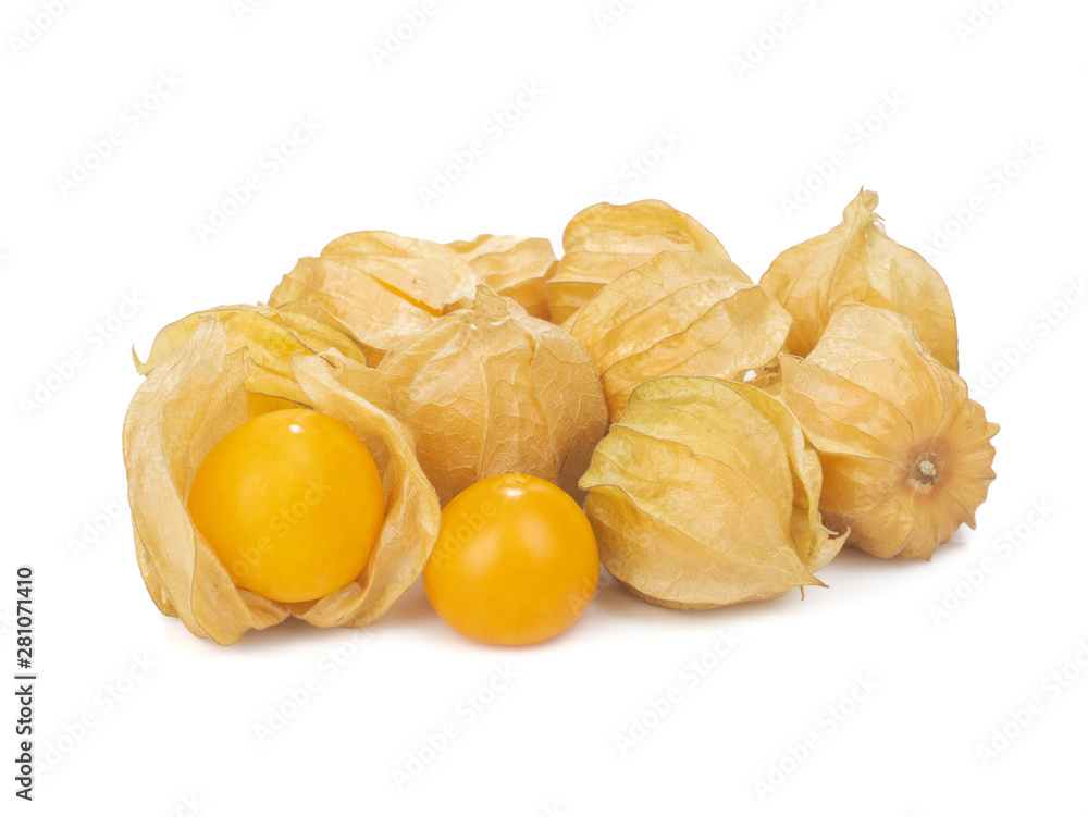 Cape Gooseberry (Physalis Peruviana) or Ground cherries, Physalis minima, Pygmy ground cherry, Inca berry, Golden strawberry, Strawberry tomato, Husk tomato isolated on white background Cape Gooseberry (Physalis Peruviana) or Ground cherries, Physalis minima, Pygmy ground cherry, Inca berry, Golden strawberry, Strawberry tomato, Husk tomato isolated on white background