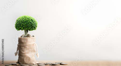 Tableau sur toile Coins in sack and small plant tree