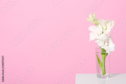 Wallpaper Mural Vase with beautiful gladiolus flowers on wooden table against pink background. Space for text Torontodigital.ca