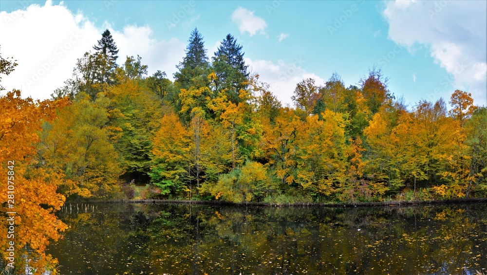 Fototapeta premium forest and lake in autumn