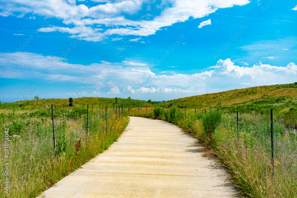 Path with Native Plants and a Blue Sky at Northerly Island in Chicago during the Summer
