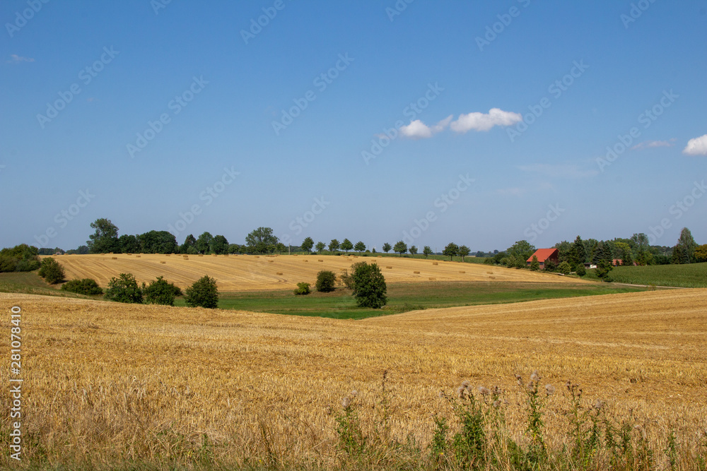 Getreideernte in wunderschöner Landschaft Getreideernte in wunderschöner Landschaft