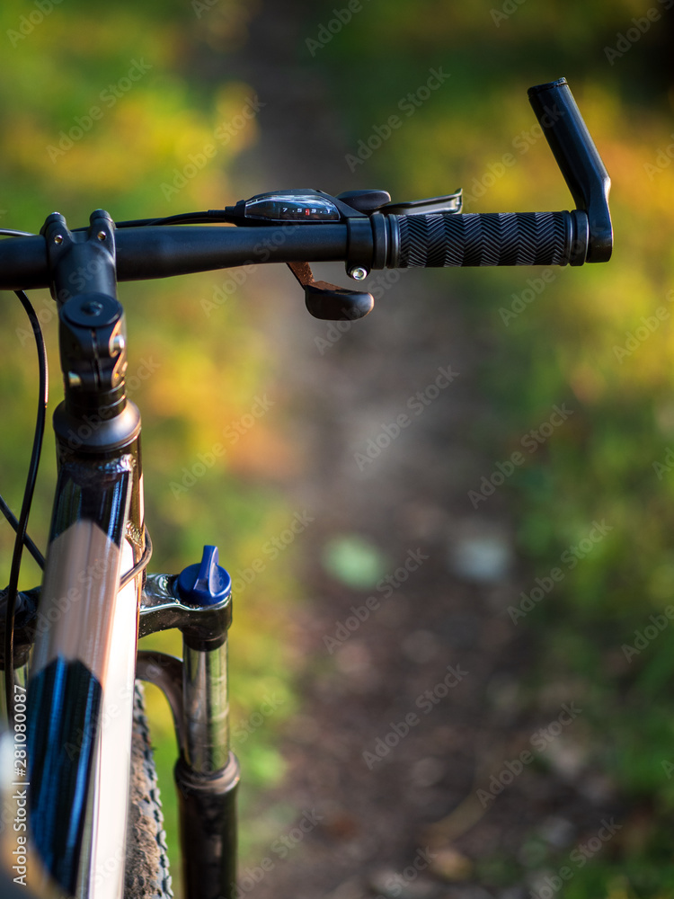 Close-up of mountain bike in the forest at sunset with copyspace Close-up of mountain bike in the forest at sunset with copyspace