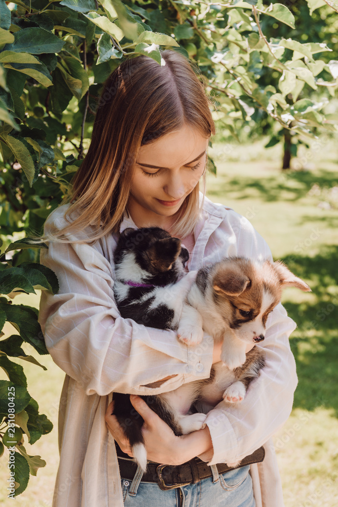 blonde girl holding cute puppies in garden near green tree blonde girl holding cute puppies in garden near green tree