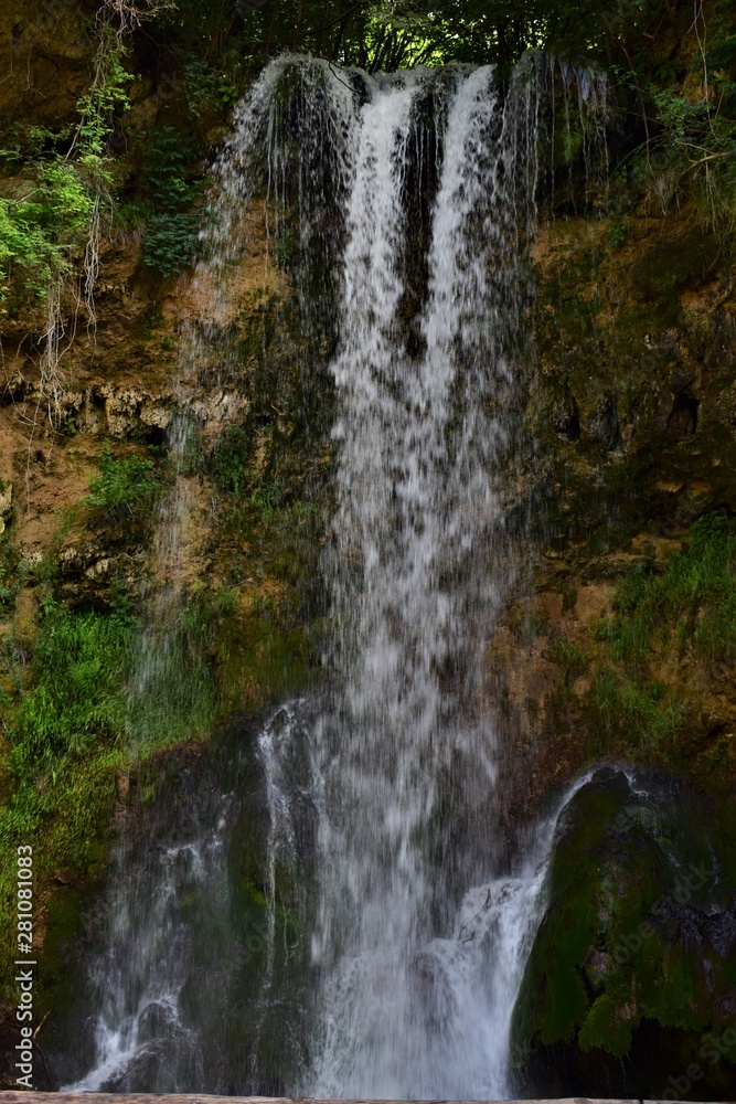 Obraz premium waterfall in the forest