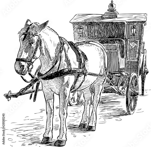 Sketch of a white horse harnessed to a vintage carriage