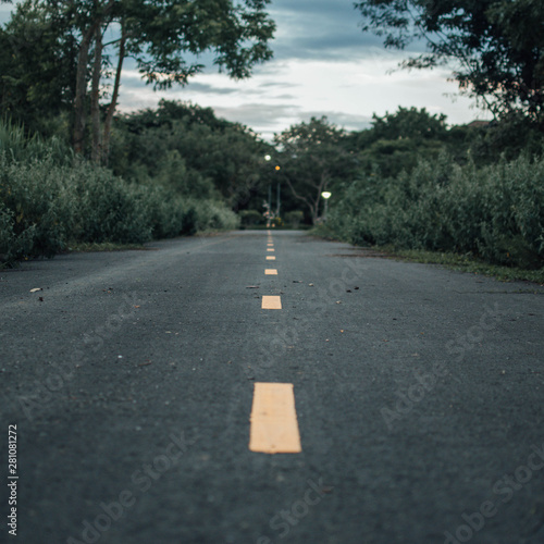 road in forest