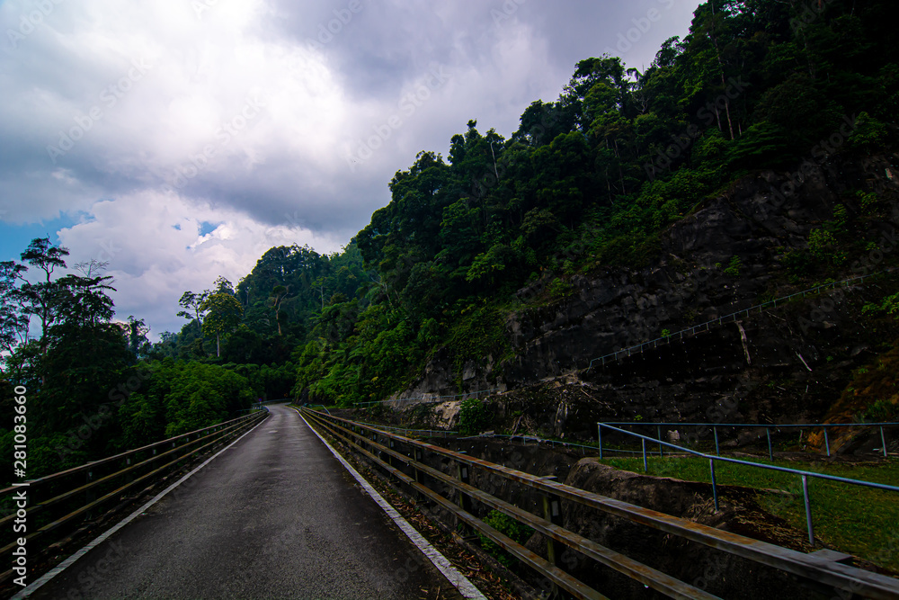 Fototapeta premium empty narrow bridge in the middle of tropical forest at Pahang, Malaysia