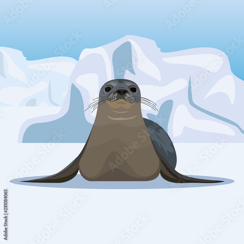 Seal on ice