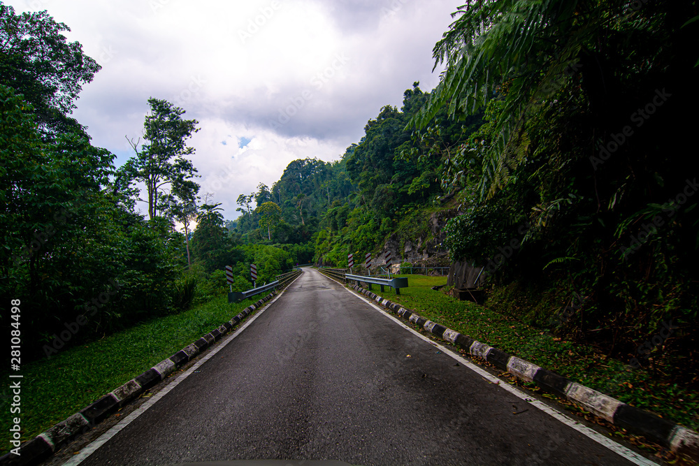 empty narrow bridge in the middle of tropical forest at Pahang, Malaysia empty narrow bridge in the middle of tropical forest at Pahang, Malaysia