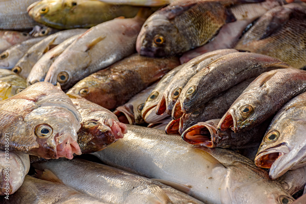 Fresh and freshly caught fish for sale at a fishing colony on Copacabana Beach in Rio de Janeiro