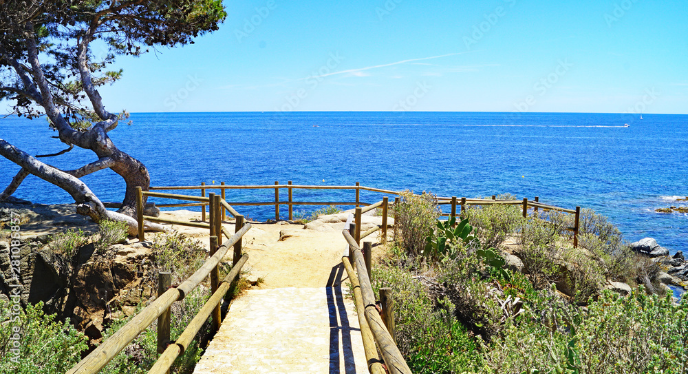 Fototapeta premium Llanfranch y Calleja de Palafrugell, Girona, Catalunya, España, Europa