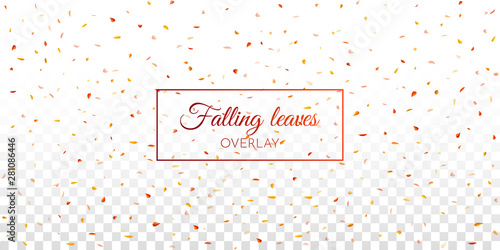 Falling leaves overlay effect. A4 format Mockup. Autumn concept. Vector illustration.
