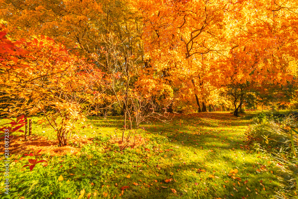 Autumn landscape Background. Fall scene panorama