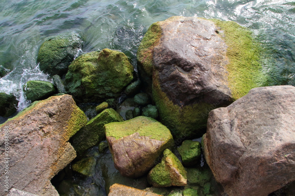pietre verdi nell'acqua del lago