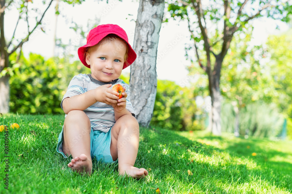 Portrait of happy Cute adorable toddler boy sitting on green grass and eating ripe juicy organic apple in fruit garden under trees. Funny caucasian blond child enjoying harvesting fruits in orchard Portrait of happy Cute adorable toddler boy sitting on green grass and eating ripe juicy organic apple in fruit garden under trees. Funny caucasian blond child enjoying harvesting fruits in orchard