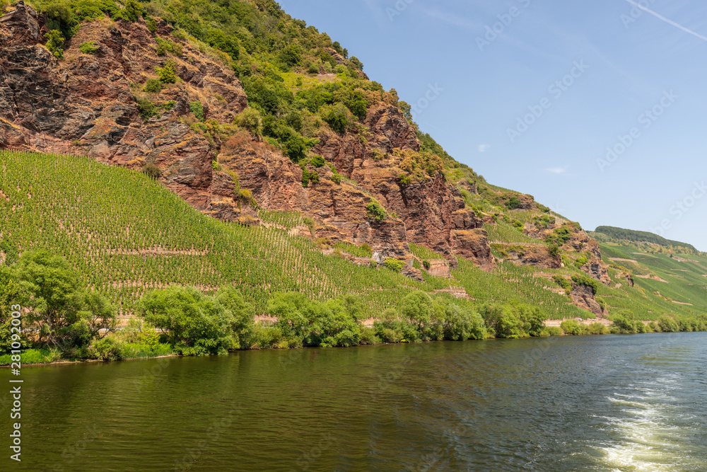 Steilhang mit Felsen und Weinbergen an der Mosel Steilhang mit Felsen und Weinbergen an der Mosel