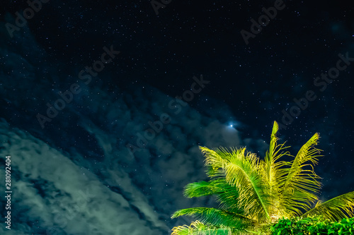 the starry sky with coconut in the night