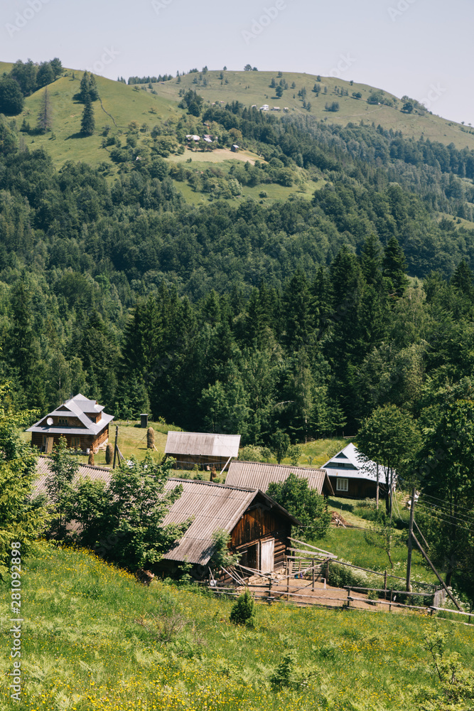Amaing forest in the green mountains Carpatians