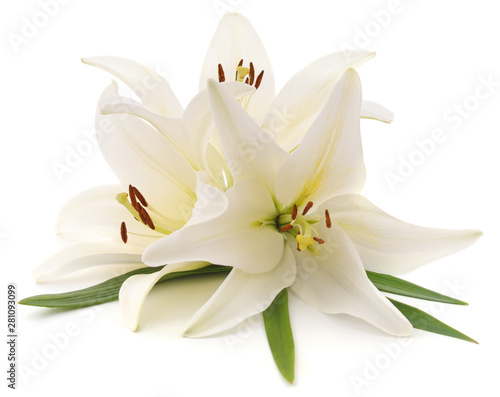 Fotografiet Bouquet of white lilies