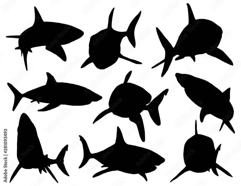Graphical set of shark silhouettes isolated on white,vector ...
