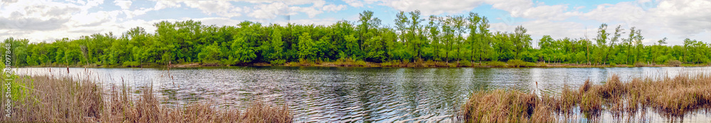 Panorama of the lake with a forest on opposite shore