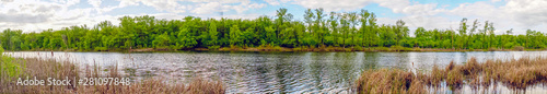 Fototapeta Naklejka Na Ścianę i Meble -  Panorama of the lake with a forest on opposite shore