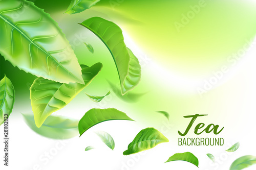 Realistic green tea leaves background for advertising poster. Vector illustration