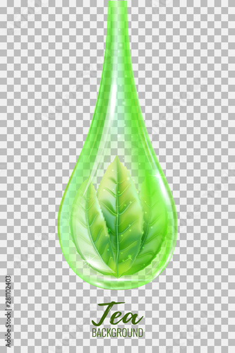 Realistic green tea leaves in a drop . Vector illustration