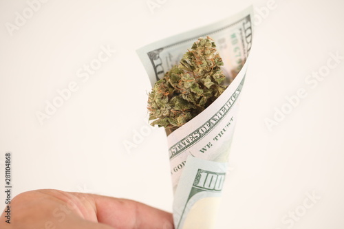 cannabis cones marijuana in money