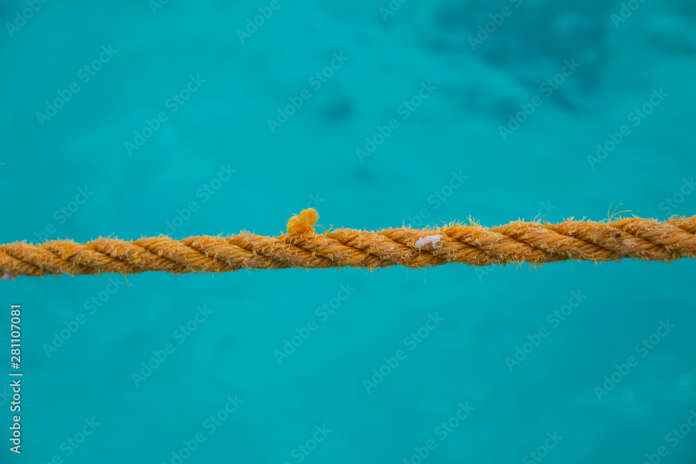 Boat rope summer sea background