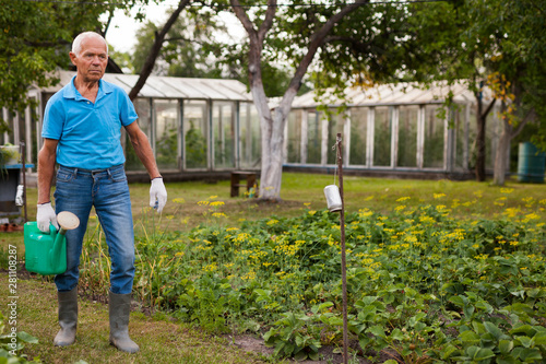 Mature farmer is watering vegetables in the garden bed