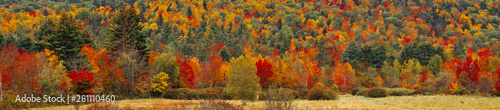 super wide crop of a hill in Vermont during Fall season photo