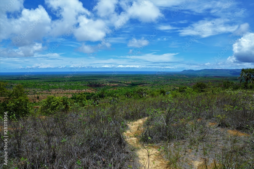 Tsingi rouge nationalpark auf madagaskar in afrika Tsingi rouge nationalpark auf madagaskar in afrika