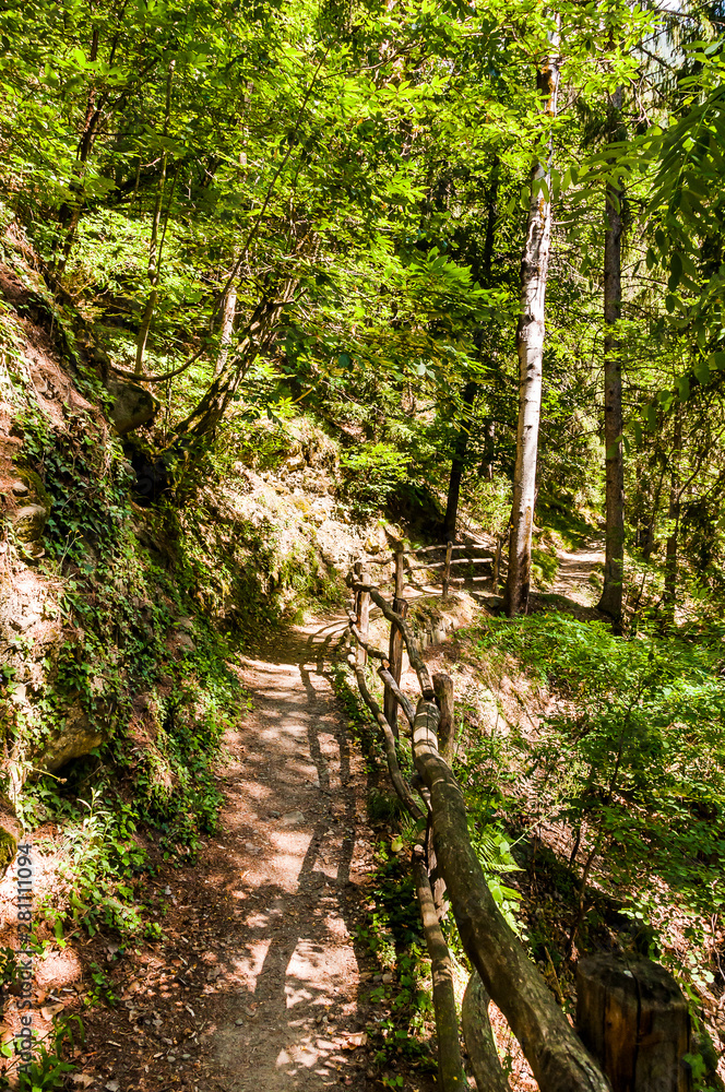 Obraz premium Dorf Tirol, Herrschaftsweg, Tiroler Kreuz, Wanderweg, Wald, Schlosswald, Vinschgau, Südtirol, Sommer, Italien