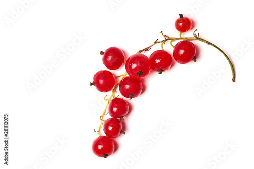 Brush red currant with wet berries on white background