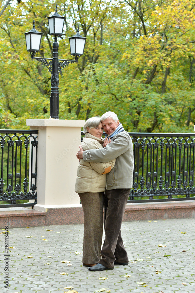 Fototapeta premium Portrait of happy beautiful senior couple hugging in autumn park
