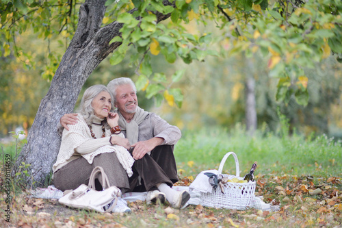 Fototapeta Naklejka Na Ścianę i Meble -  Portrait of senior couple having picnic outdoors