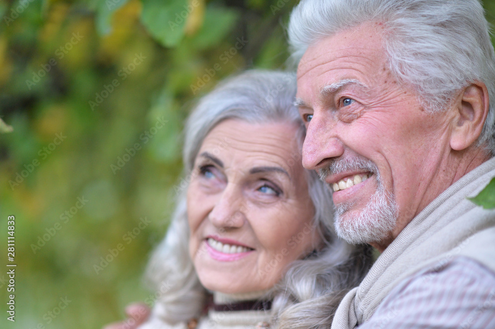 Portrait of beautiful senior couple in the park Portrait of beautiful senior couple in the park