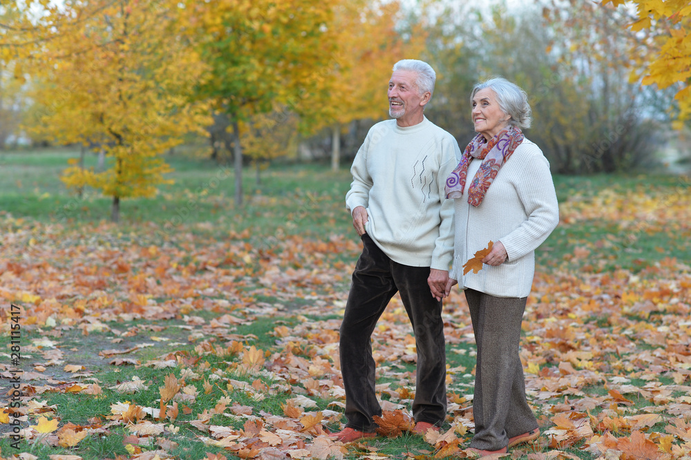 Obraz premium Portrait of happy senior woman and man in park