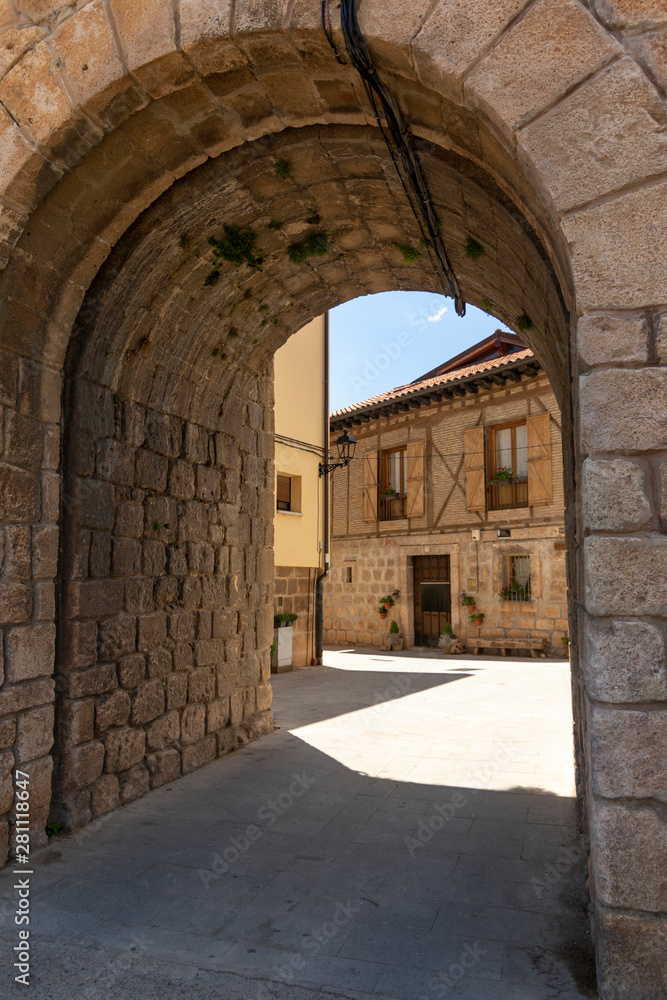 Fototapeta premium entrance to the castle