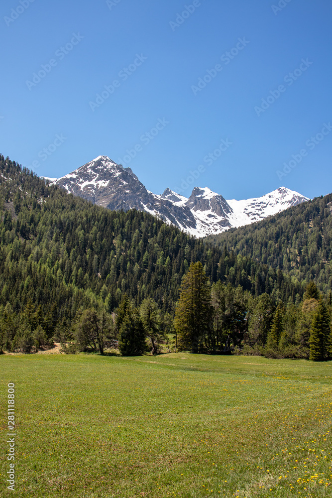 View of snowy mountains behind green wooded mountains at blue sky in swiss alps