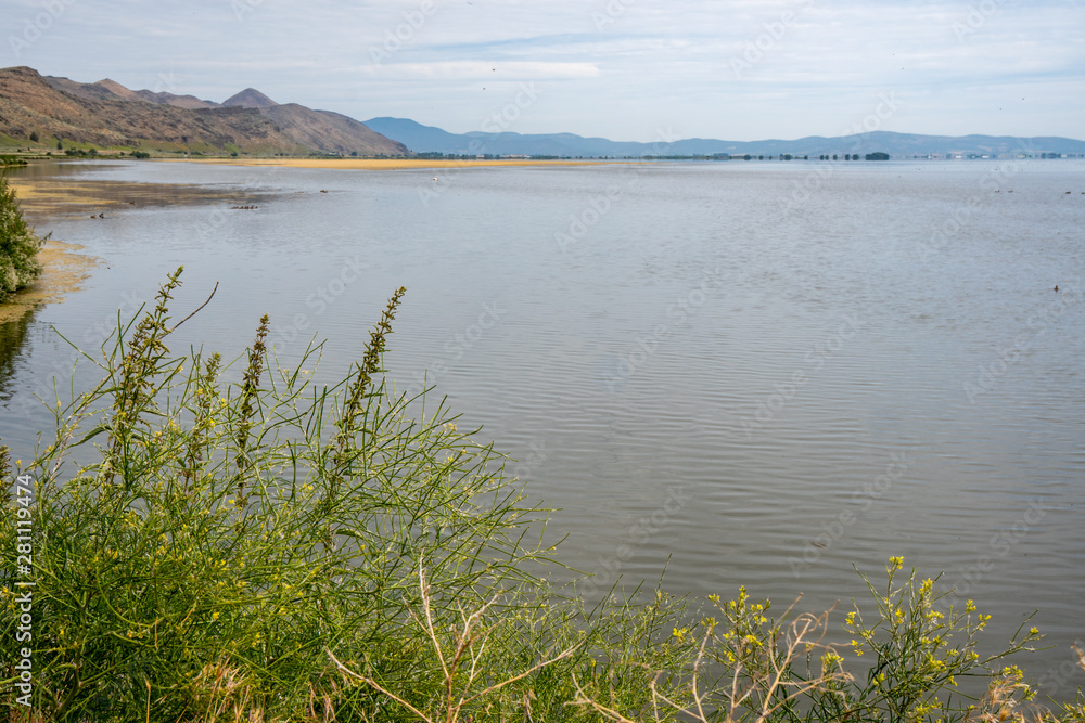 View of the Tule Lake National Wildlife Refuge in Northern California View of the Tule Lake National Wildlife Refuge in Northern California