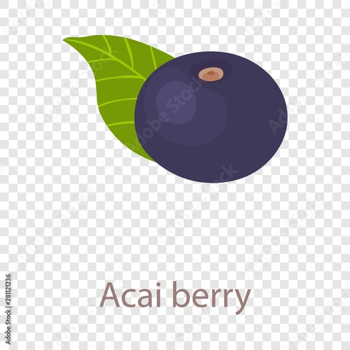 Acai berry icon. Isometric illustration of acai berry vector icon for web
