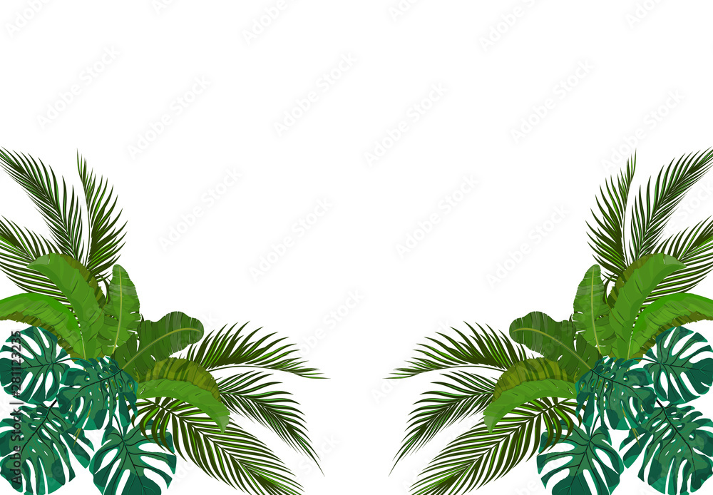 The green leaves of the tropical palm trees are symmetrical on the sides. Monstera, agave, banana. illustration