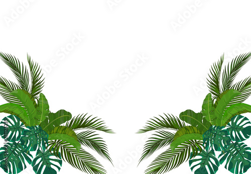 Fototapeta Naklejka Na Ścianę i Meble -  The green leaves of the tropical palm trees are symmetrical on the sides. Monstera, agave, banana. illustration