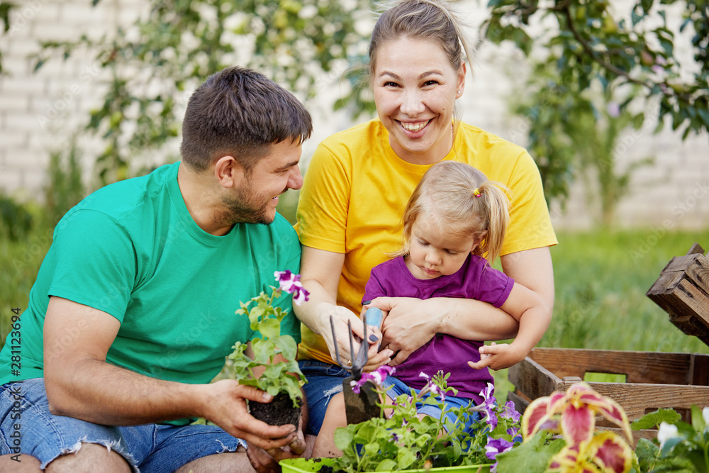 custom made wallpaper toronto digitalHappy family gardening together and taking care of nature. Plant sprouts and fertilize the ground. Mother, father and little child in colorful bright t-shirts in kailyard