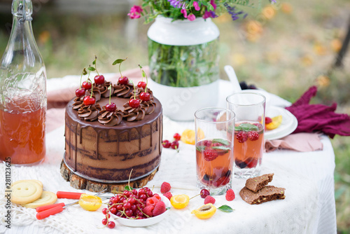 Summer picnic on nature  with a delicious chocolate cake  compote  berries  wild flowers