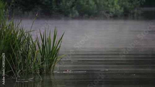 Misty lake.