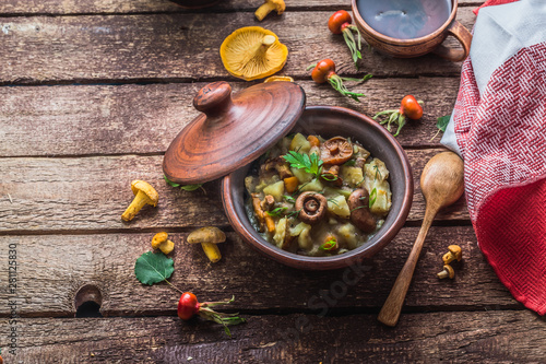 Vegeterian potato and mushrooms stew in a clay pot  copy space